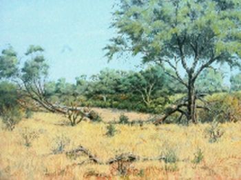 "Kruger Park Biyamiti Area"