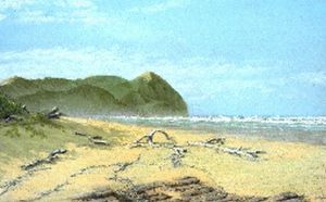"Beach Scene - Port St Johns Area"