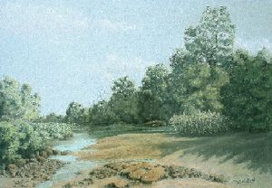 "River Scene Kruger Park"
