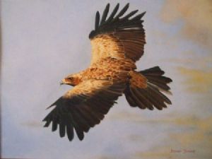 "Eagle"