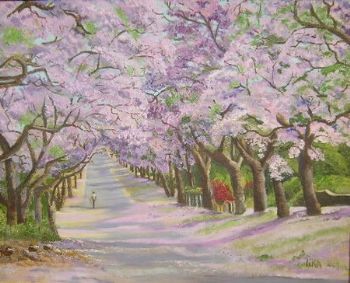 "Jacaranda Time"