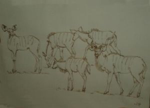 "Kudus"