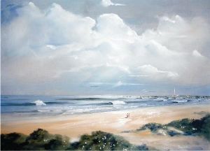 "Seal Bay"