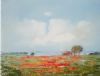 "Namaqualand"