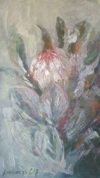 "Fynbos - Protea "