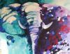 "Elephant Stare"
