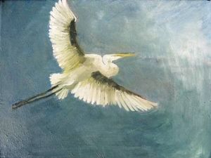 "Fly"