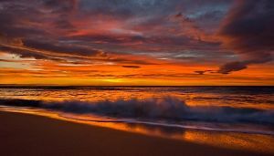 "Splash of Color"