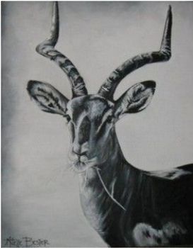 "Impala"