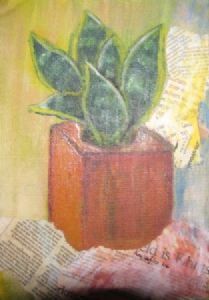 "Cactus"