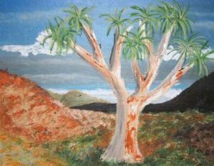 "Richtersveld 2"