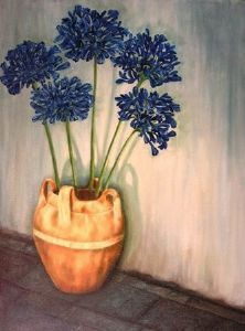 "Agapanthas"