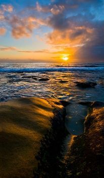 "Golden Groove"