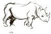 "Rhinos 3 (1 of Set of 3)"