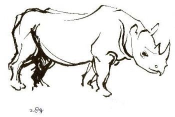 "Rhinos 3 (1 of Set of 3)"