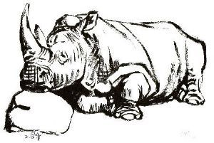 "Rhinos 1 (3 of Set of 3)"