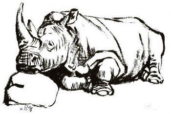 "Rhinos 1 (3 of Set of 3)"