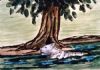 "White Tiger Escaping the Heat"