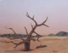 "Deathdance in the Namib"