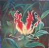"Flame Lily"