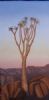 "Quiver Tree"