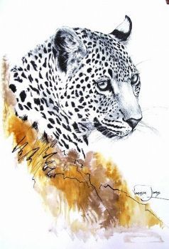 "Leopard Portrait (female)"