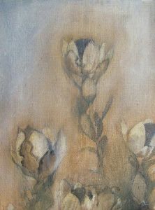 "Fynbos"