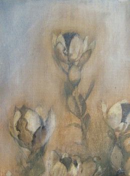 "Fynbos"