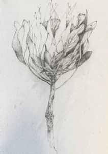 "What We Lost In The Fire"