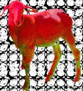 "pop sheep"