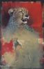 "Cheetah Scetch In Red"