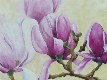 "Magnolia"