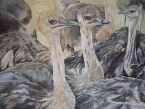 "Ostrich"