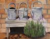 "Watering cans"