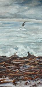 "Winter In Elands Bay"