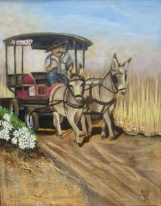 "Donkey Drive 1"