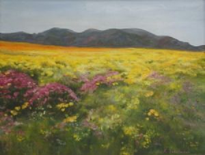 "Namaqua flowers"