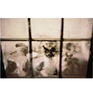 "Window"