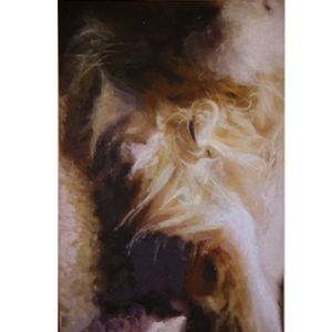 "Sleeping Cat 2"