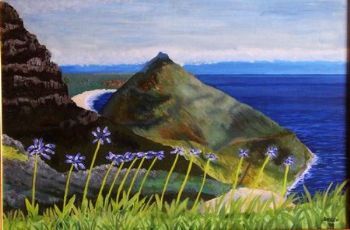 "Chapman's Peak 2"