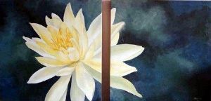 "Waterlily"