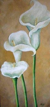 "Arums"