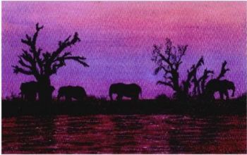 "After Sunset"
