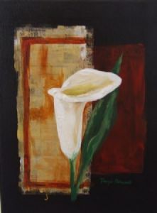 "Arum Lily 2"