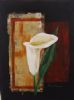 "Arum Lily 2"