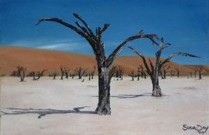"Sossusvlei-Namibia"