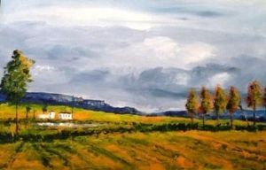 "Canola fields"