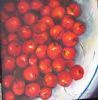 "Cherrie feast"