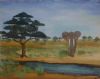 "Lone Elephant"