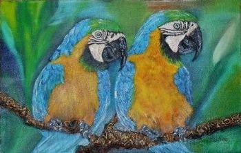 "Macaws"